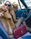 Chauf-fur Kate has bags of style...16