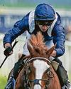 RACING SOUND ECONOMICS Scottish Daily Express