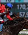 FRANKIE TO BOW OUT AT CUP49