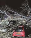 Pair's lucky escape as huge tree smashes into their car30