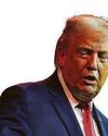 Trump: US needs Greenland more than it needs Nato13