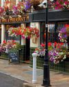 On the hunt for a pint with Blunt On the hunt for a pint with Blunt41