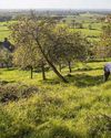 Scottish Daily Express
