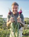 Locals see red over Beckham forest plan15