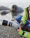 Death of pioneering wildlife cameraman19