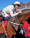 MULLINS' WARR HERO42