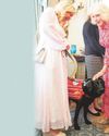 Medical dogs are at home with Camilla Medical dogs are at home with Camilla20