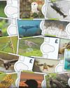 Money talks, squeaks and squawks2