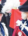 In full plume In full plume1