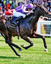 Gstaad to deliver in the St James's Gstaad to deliver in the St James's59