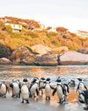 People’s Post False Bay