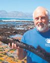 People’s Post False Bay