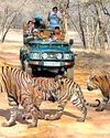 New guidelines to protect R’bore wildlife and enhance tourism7