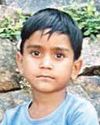 Big cat attack! Tiger mauls 7-year-old boy to death in Ranthambore Big cat attack! Tiger mauls 7-year-old boy to death in Ranthambore