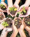 Plant, Protect & PROSPER Plant, Protect & PROSPER