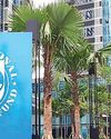 IMF approves USD 1 billion loan for Pak30