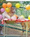Two tiger cubs celebrate their first birthday5