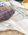 Ammunition, suspicious items discovered in Jaisalmer; situation returning to normal: SP7