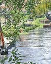 Monsoon reaches south Bay of Bengal, Nicobar Islands: IMD Monsoon reaches south Bay of Bengal, Nicobar Islands: IMD