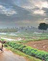 Western disturbance cools Nautapa heat in State2