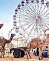 State to host cattle fairs across districts to boost livestock economy16