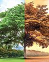 Climate Change will be most impactful risk facing worldwide in coming times