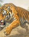 Tigers and Turrets: The Untold Legacy35