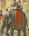 Elephant: Majesty on the move under scrutiny37