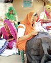 INNOVATIVE STEPS RESHAPING RURAL BIZ IN RAJASTHAN36