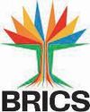 Vietnam becomes 10th partner of BRICS35