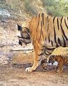 MT-6 becomes first time mother!8