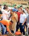BJP MP Manju Sharma leads shramdaan at Ramgarh Dam15