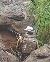 Yr-long hunt ends: JeM terrorist killed in J&K0
