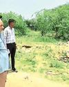 Illegal constructions around Ramgarh Dam irks HC panel14