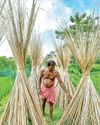 India restricts import of jute from Bangladesh30