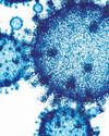 Old Virus, new worry: COVID variants kill two in Rajasthan14