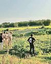 Mob burns five of family alive in Bihar over 'witchcraft' suspicion25