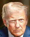 Trump threatens Brazil with 50% tariff, demands Bolsonaro's trial end41