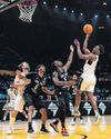 BAL taking flight in fifth season7