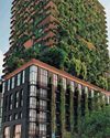 Why has Cape Town's green building been cancelled?11