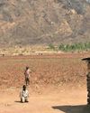China's $50m agricultural bet in Malawi holds hope and risk China's $50m agricultural bet in Malawi holds hope and risk18