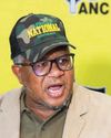 ANC's 2027 race plays out behind scenes in Limpopo5