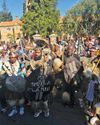 No court will remove our king, say Zulu amabutho
