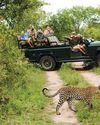 Mpumalanga leads the pack in international tourist inflows Sunday World
