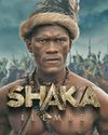 Closure of loss-making Showmax a blow for African productions1