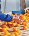 Exporters must find new markets amid war18