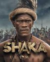 Streaming war and African audiences0
