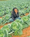 Thabiso Maphoto (23)81