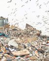 Essex has worst record on non-recycled waste sent to council landfills