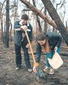 Seeds of hope Kharkiv residents work to restore war-ravaged forest